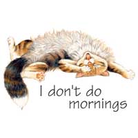 TRANSFER I DON'T DO MORNINGS
