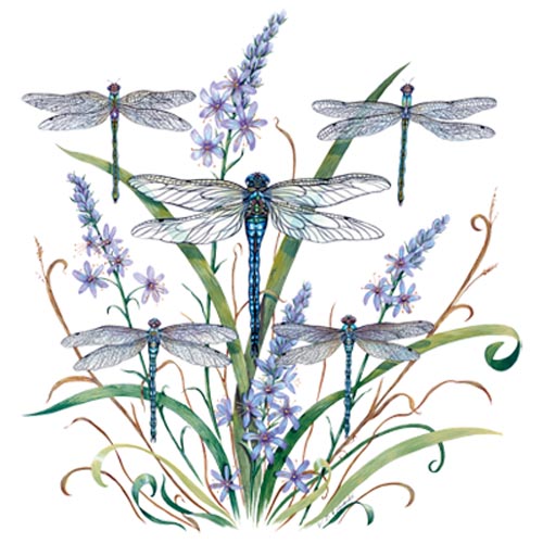 TRANSFER DRAGONFLY LACE