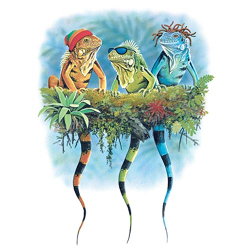 TRANSFER REGGAE IGUANAS