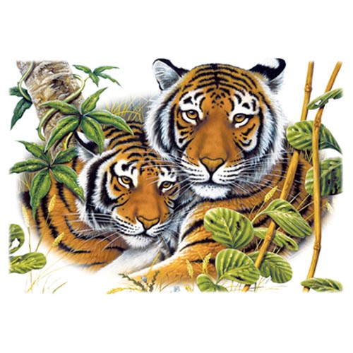 TRANSFER TWO TIGERS