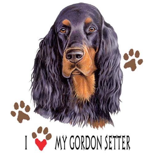 TRANSFER GORDON SETTER