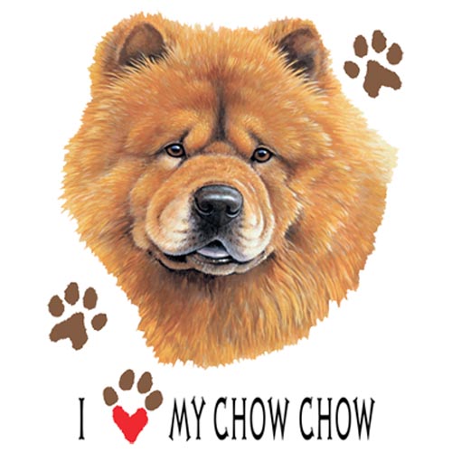 TRANSFER CHOW CHOW