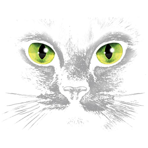 TRANSFER EYES (BLACK CAT)