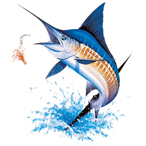 TRANSFER S BLUE MARLIN