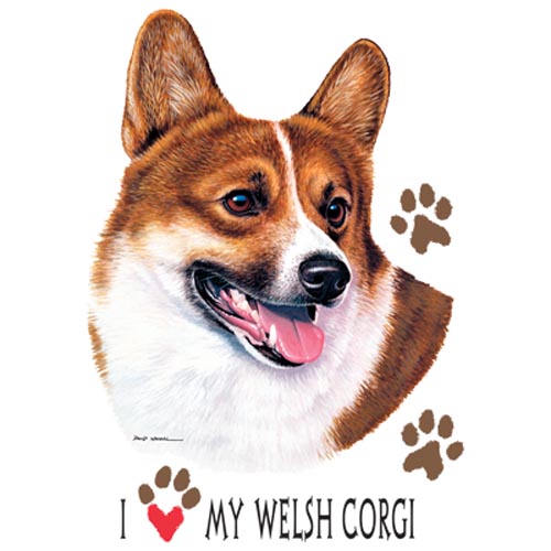 TRANSFER WELSH CORGI