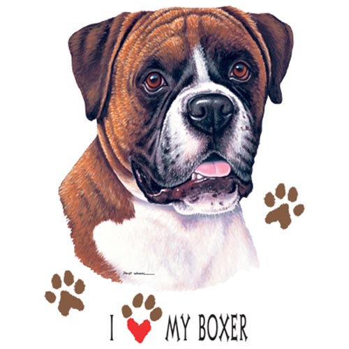TRANSFER MY BOXER