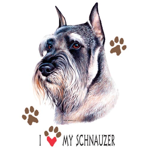 TRANSFER SCHNAUZER (CE) - DW