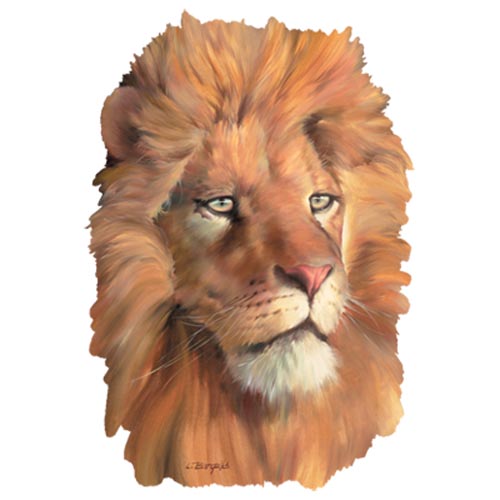 TRANSFER LION FACES