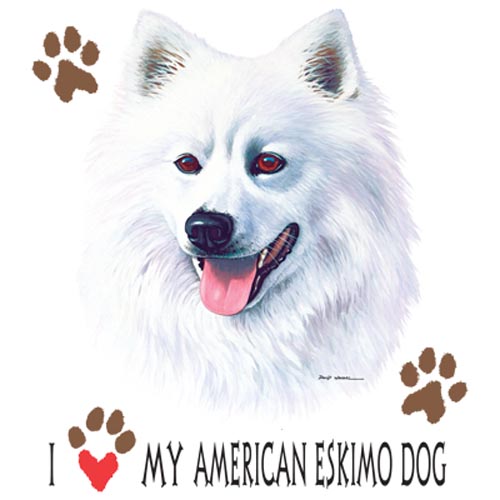 TRANSFER AMERICAN ESKIMODOG