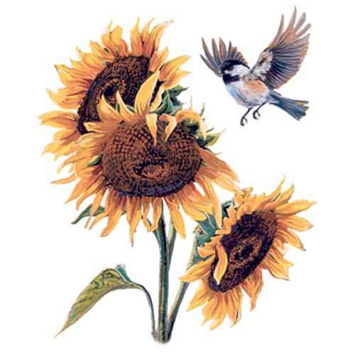 TRANSFER CHICKADEE & SUNFLOWER