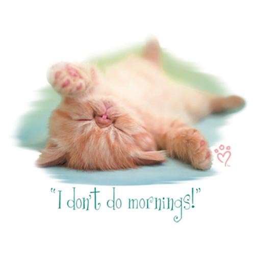 TRANSFER I DON'T DO MORNINGS - RH