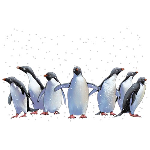 TRANSFER PENGUINS