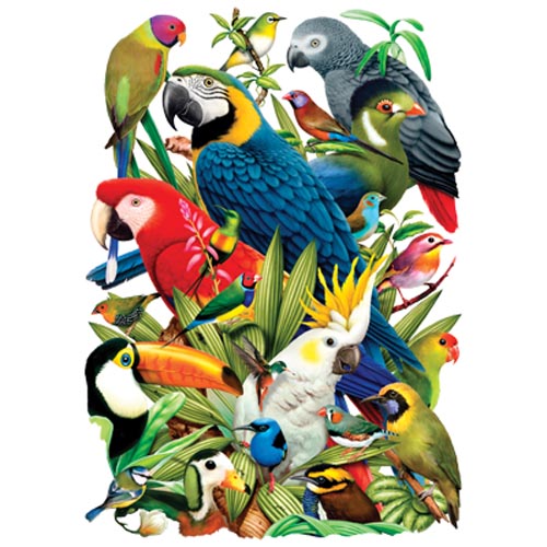 TRANSFER AVIAN WORLD