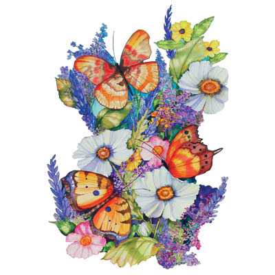 TRANSFER BUTTERFLY GARDEN