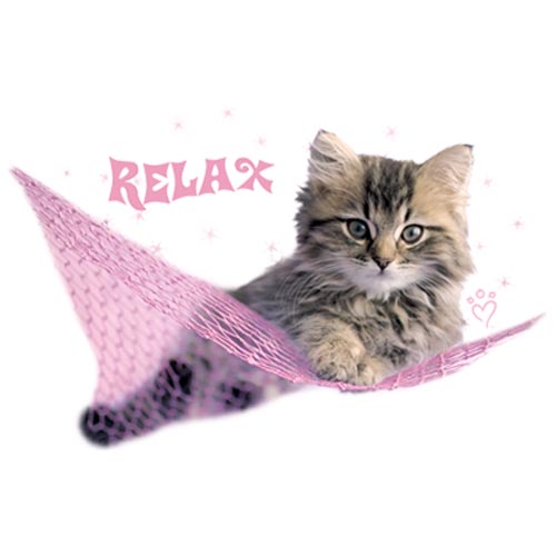 TRANSFER MINNIE RELAX - RH