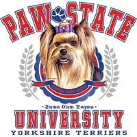 TRANSFER YORKSHIRE TERRIER