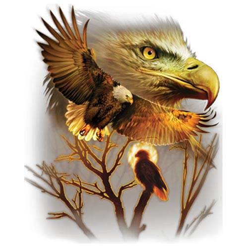 TRANSFER AMERICAN EAGLE