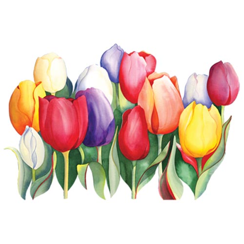 TRANSFER SPRING TULIPS