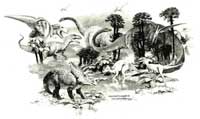 TRANSFER DINOLAND
