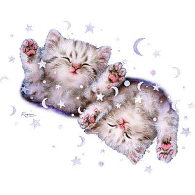 TRANSFER SWEET SLUMBER