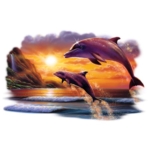 TRANSFER TROPIC SUN DOLPHINS