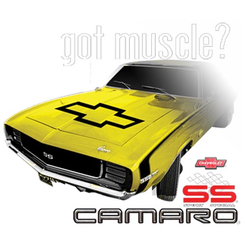 TRANSFER MUSCLE