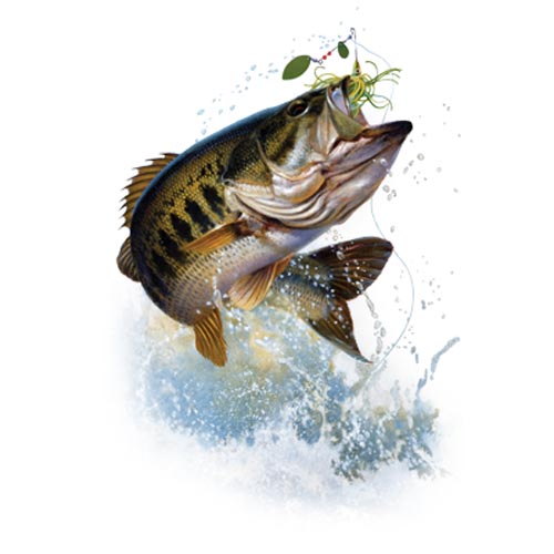 TRANSFER FISH AND HOOK