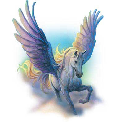 TRANSFER PEGASUS