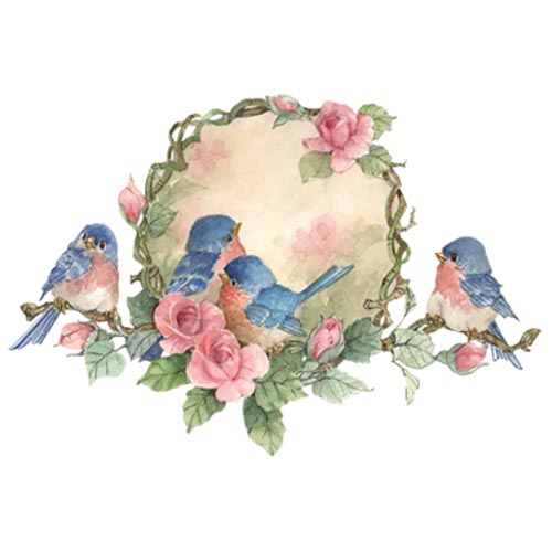 TRANSFER BLUE BIRD FAMILY