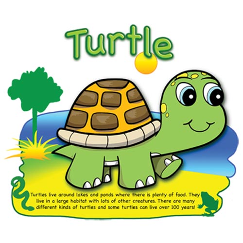 TRANSFER TURTLE