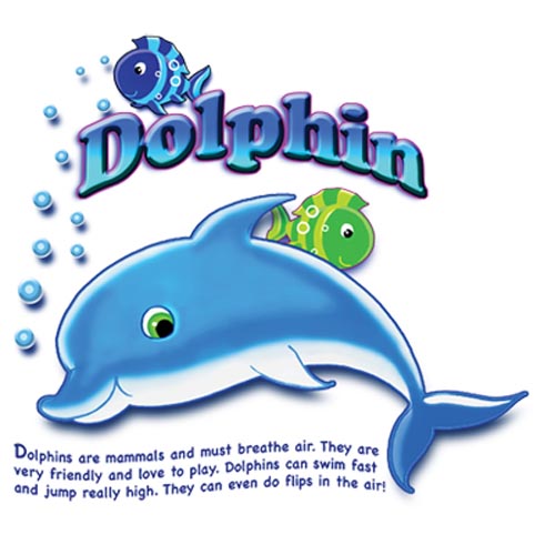 TRANSFER DELPHIN