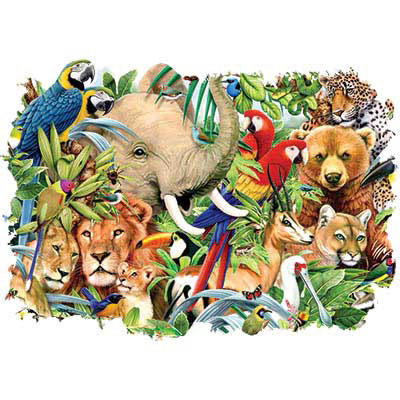 TRANSFER WILD ANIMAL PARTY