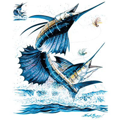 TRANSFER SAILFISH