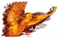 TRANSFER PHONEIX RISING