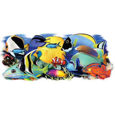 TRANSFER TROPICAL FISH