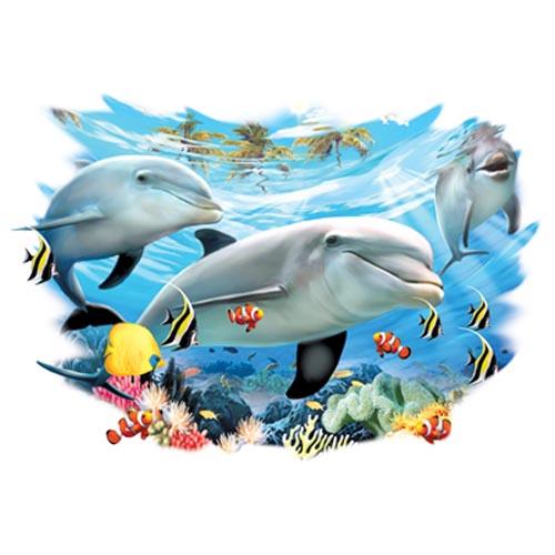 TRANSFER DOLPHIN FRIENDS