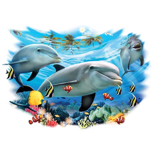 TRANSFER DOLPHIN FRIENDS