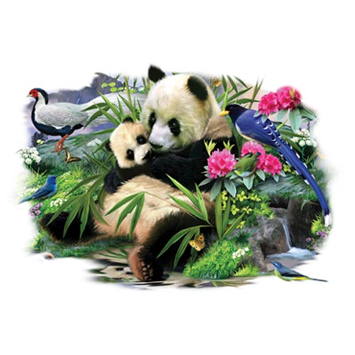 TRANSFER PANDA HUG
