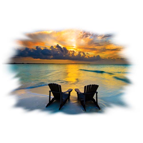 TRANSFER WISH YOU WERE HERE