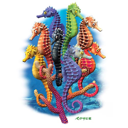 TRANSFER SEAHORSES