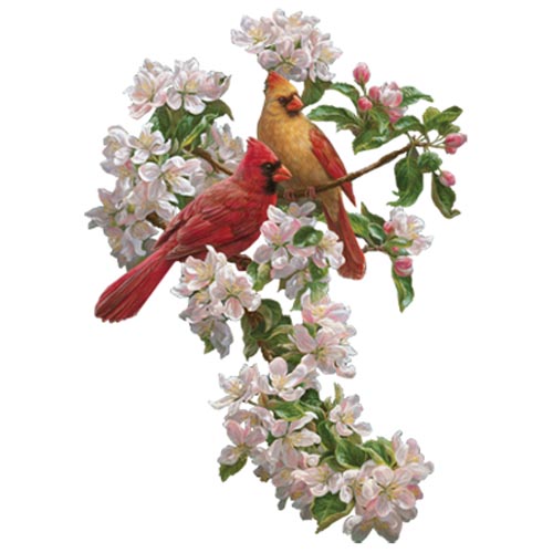 TRANSFER SPRING ROMANCE