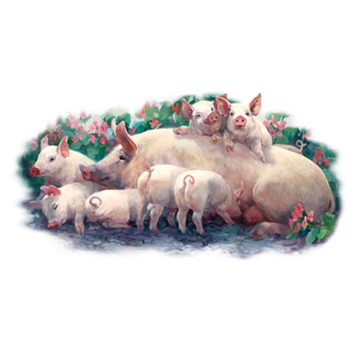 TRANSFER PIGGIN'OUT