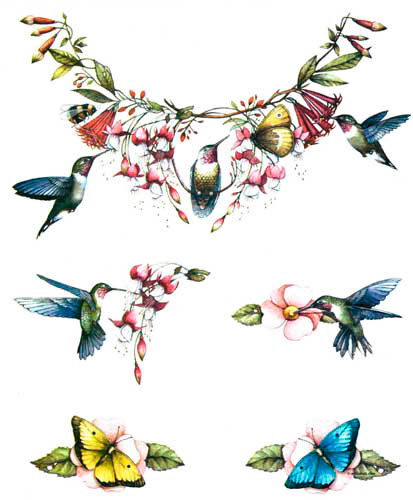 TRANSFER HUMMINGBIRD CUT UP