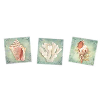 TRANSFER SEASHELL TRIPTYCH