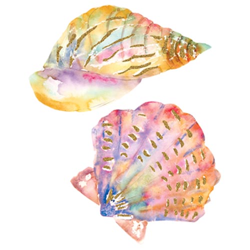 TRANSFER SHELLS