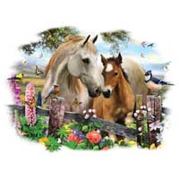 TRANSFER HOLLYHOCK HORSES