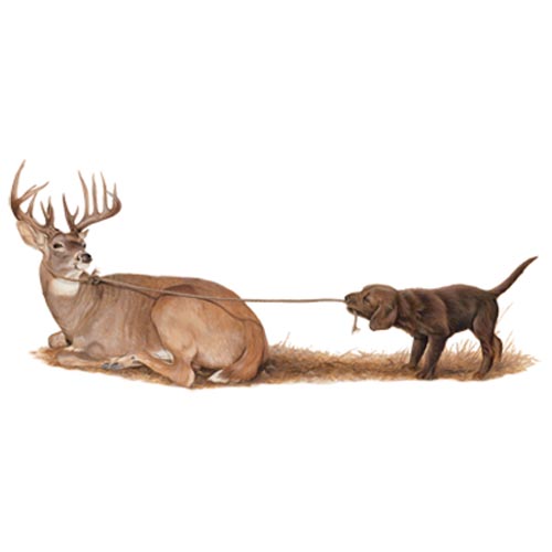 TRANSFER ROPE A DOPE (WHITETAIL & LAB)