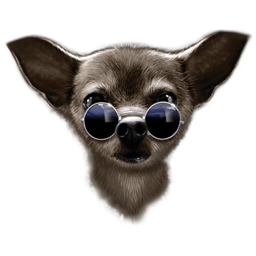TRANSFER COOL CHIHUAHUA (DARKS ONLY)