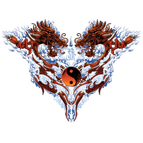 TRANSFER YIN YANG THING