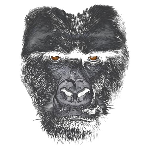 TRANSFER MAJESTIC GORILLA (DARKS ONLY)